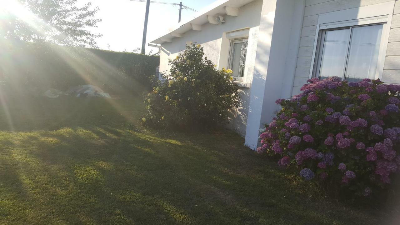 La Maison Des Oiseaux Eu (Senna Marittima) Esterno foto